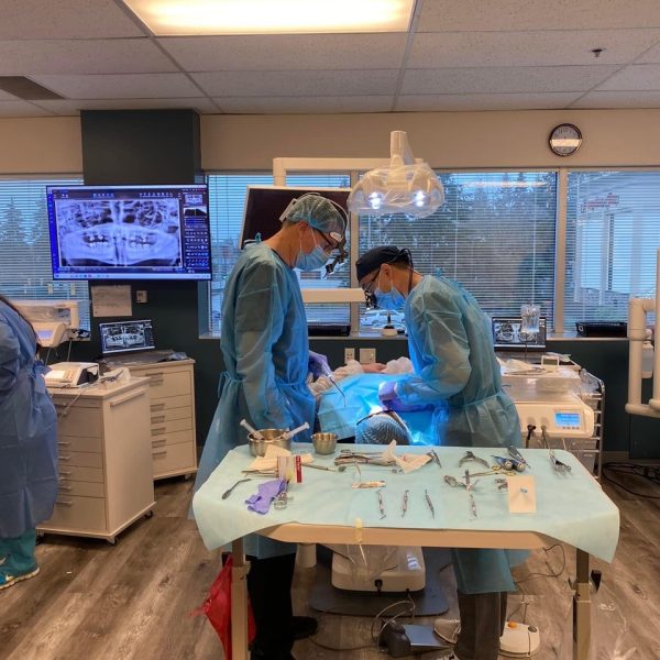 Photo Aug 02 2023, 3 52 58 PM (1) Large